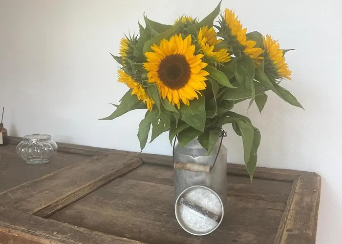 Ascherhof مزرعة للإقامة تيرسي