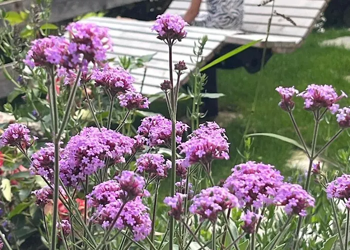 Farm stay Ascherhof Thiersee